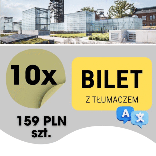 10szt. BILET KONFERENCJA (z tłumaczem)