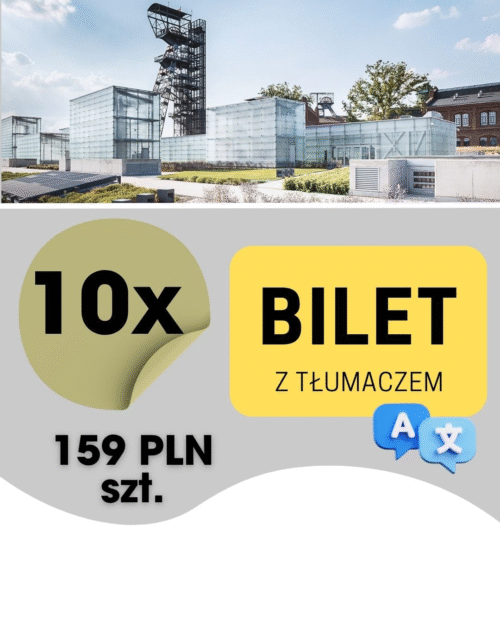 10szt. BILET KONFERENCJA (z tłumaczem)