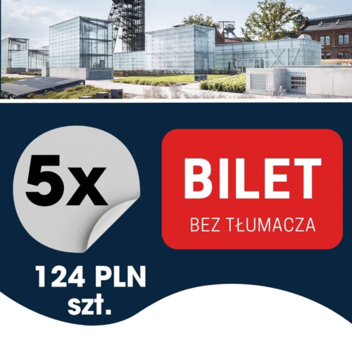 5szt. BILET KONFERENCJA (bez tłumacza)