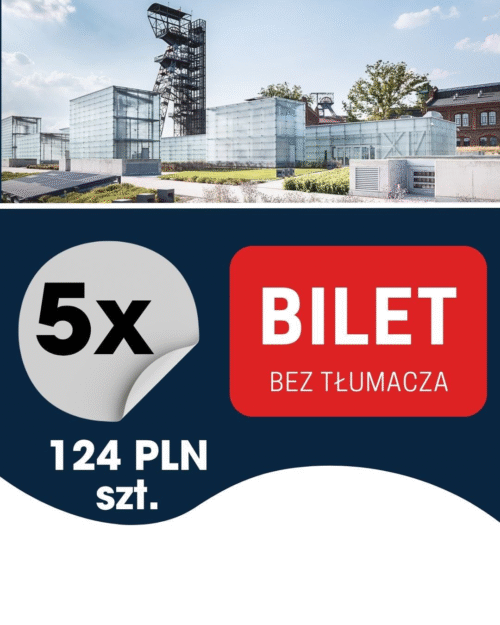 5szt. BILET KONFERENCJA (bez tłumacza)