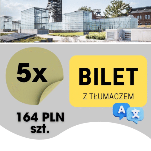 5szt. BILET KONFERENCJA (z tłumaczem)