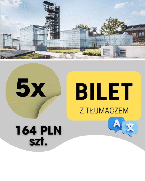 5szt. BILET KONFERENCJA (z tłumaczem)