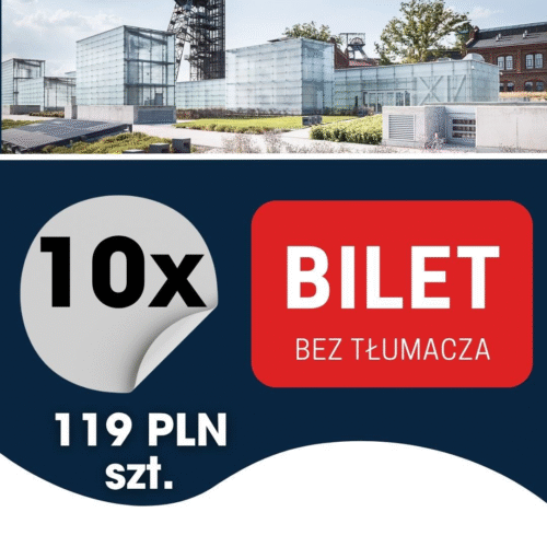 10szt. BILET KONFERENCJA (bez tłumacza)