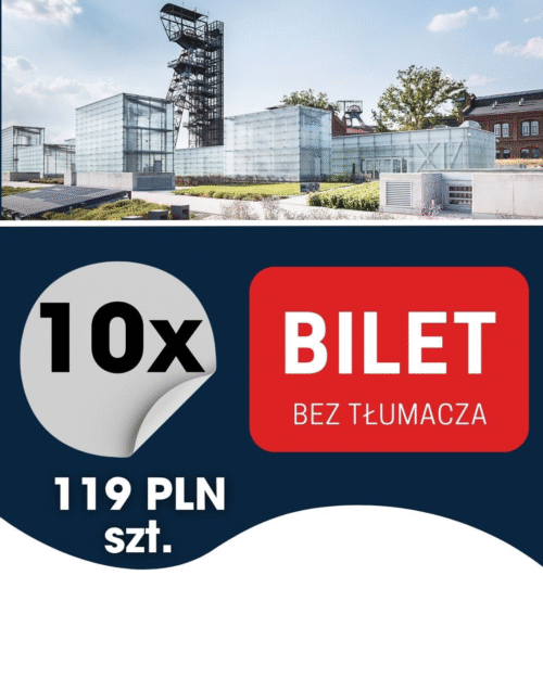 10szt. BILET KONFERENCJA (bez tłumacza)