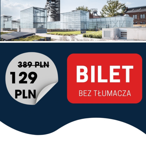 BILET KONFERENCJA (bez tłumacza)