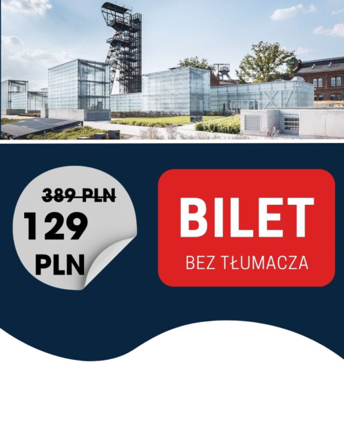 BILET KONFERENCJA (bez tłumacza)